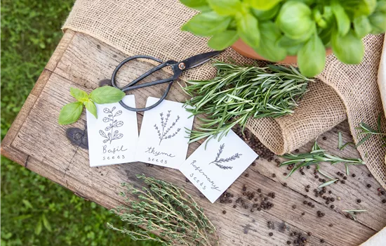 Ein Aussaatkalender sorgt für Übersicht bei der Gartenplanung Ein Aussaatkalender sorgt für Übersicht bei der Gartenplanung