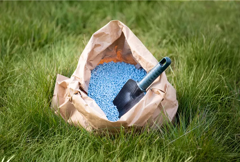 Dünger - Blaukorn