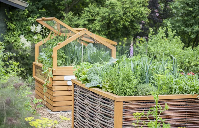 Gartenkräuter Gartenkräuter