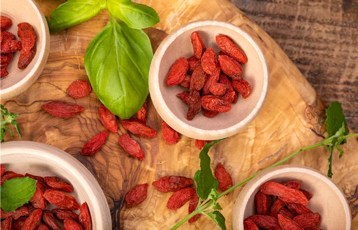 Goji-Beeren – Superfood aus Fernost im eigenen Garten