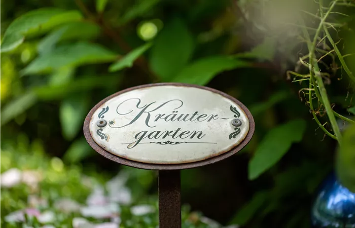 Ernte ohne Garten - Im duftenden Kräutergarten auf dem Balkon