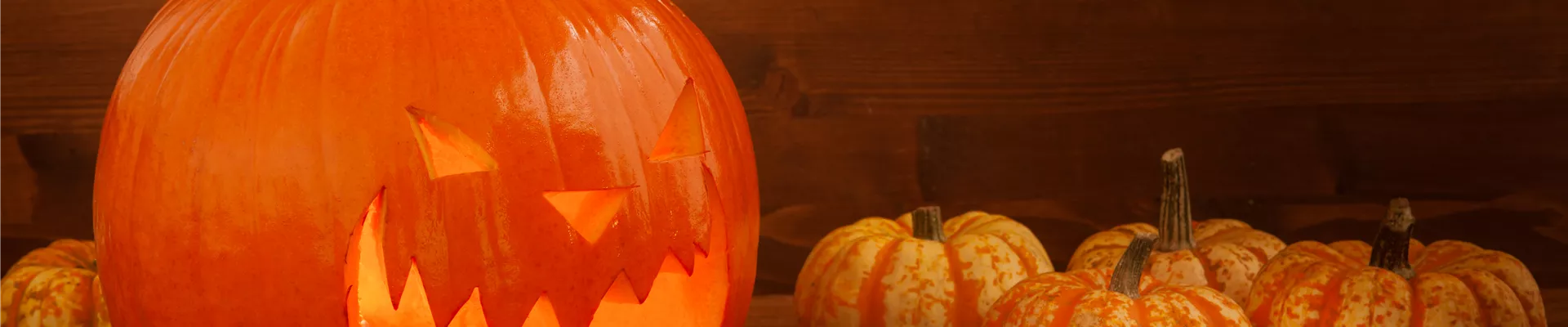 Halloween Kürbis Halloween Kürbis