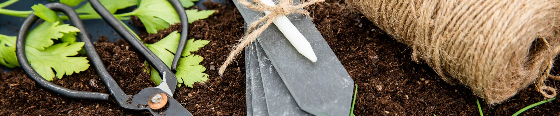 Aussaat - Pflanzenschild Aussaat - Pflanzenschild