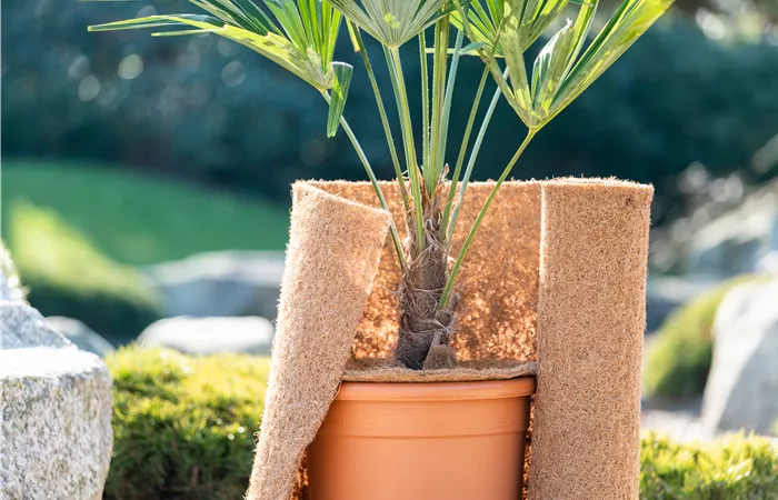 Den Garten winterfest machen