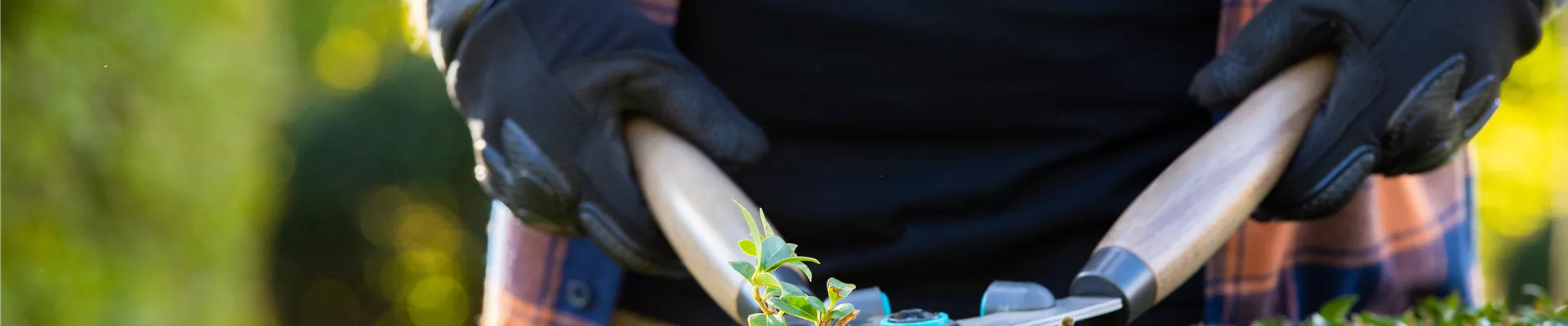 Gartengeräte - Mann mit Heckenschere Gartengeräte - Mann mit Heckenschere