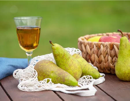 Birnen aus dem eigenen Garten genießen Birnen aus dem eigenen Garten genießen