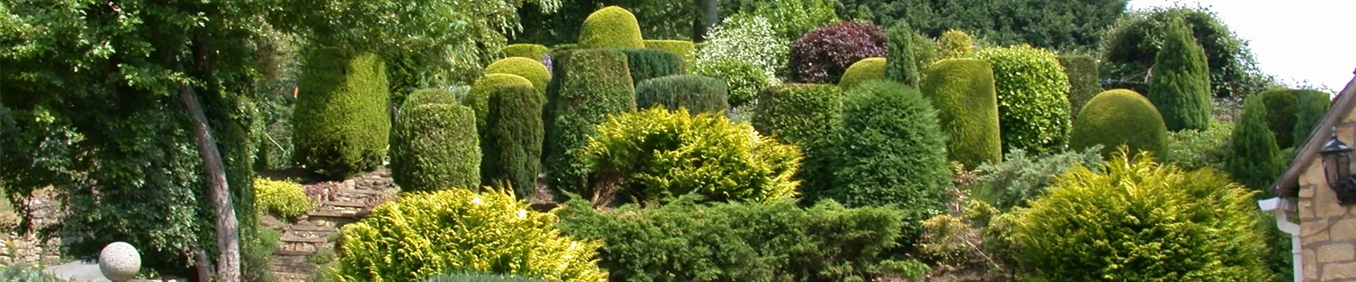 Terrassengarten mit Koniferen Terrassengarten mit Koniferen