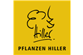 Pflanzen Hiller Pflanzen Hiller