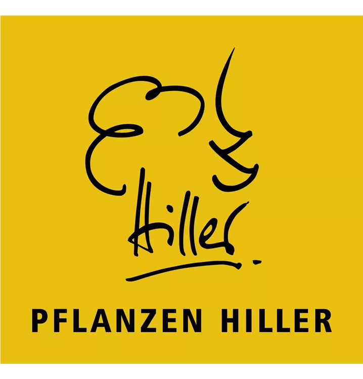 Pflanzen Hiller Pflanzen Hiller