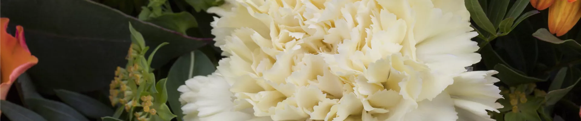 Blumenstrauß Blumenstrauß