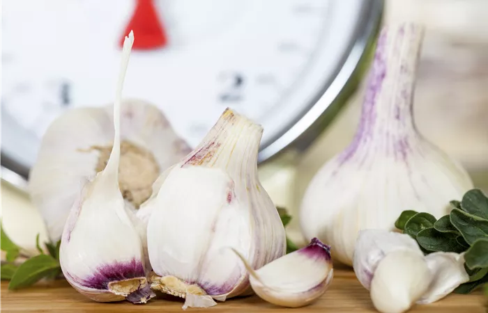 Allium sativum Allium sativum