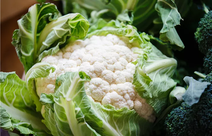 Brassica oleracea var. botrytis Brassica oleracea var. botrytis