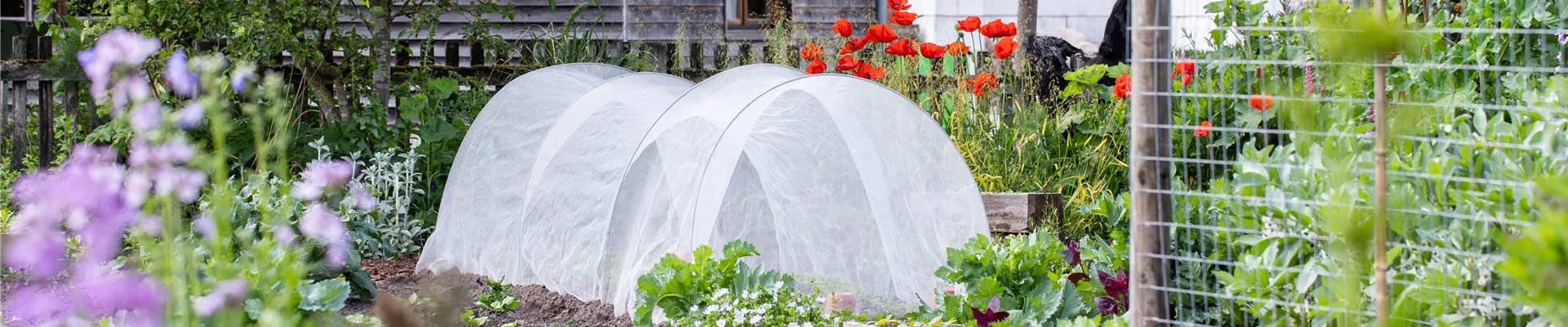 Gemüsebeet mit Pflanztunnel Gemüsebeet mit Pflanztunnel