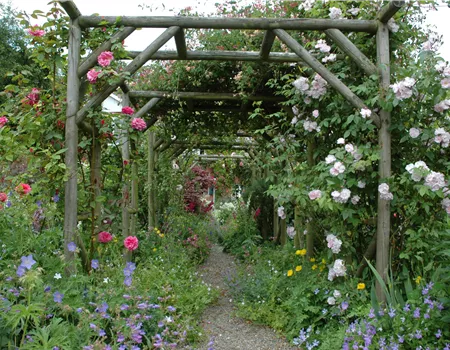 Die richtige Wahl von Rankhilfen für Kletterpflanzen