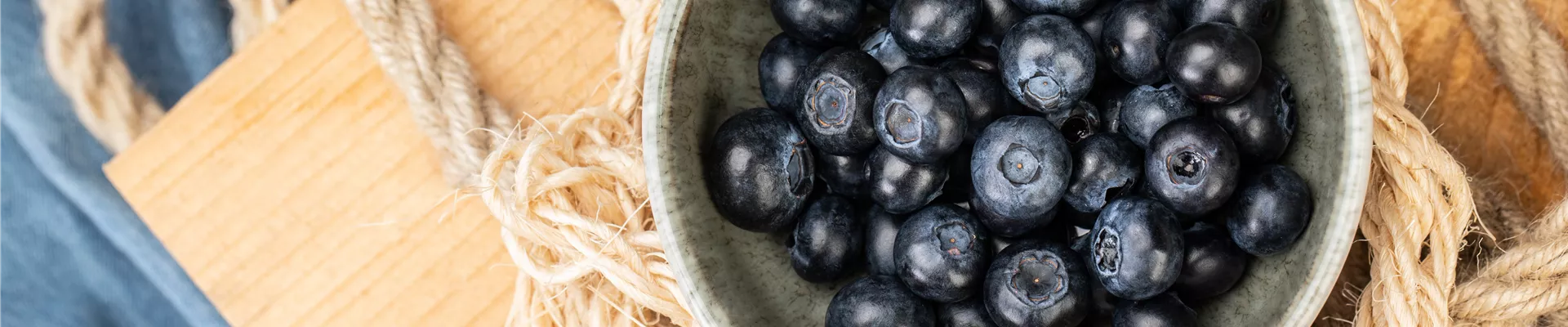 Heidelbeeren Heidelbeeren