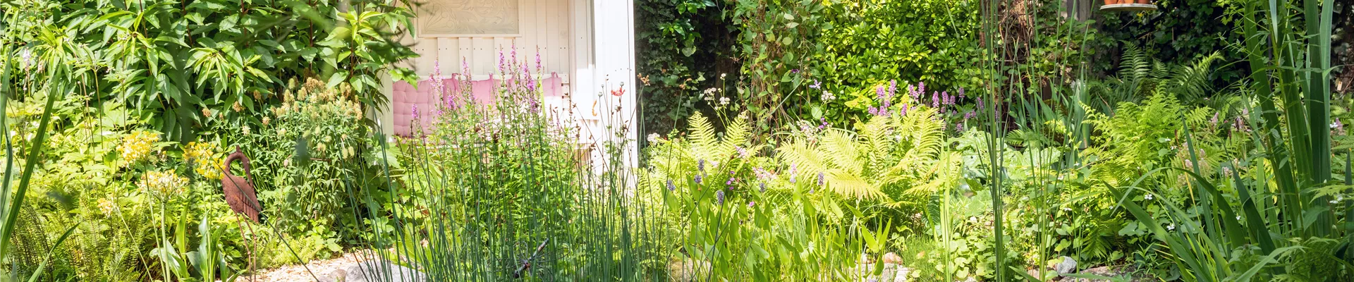 Gartenambiente mit Teich Gartenambiente mit Teich