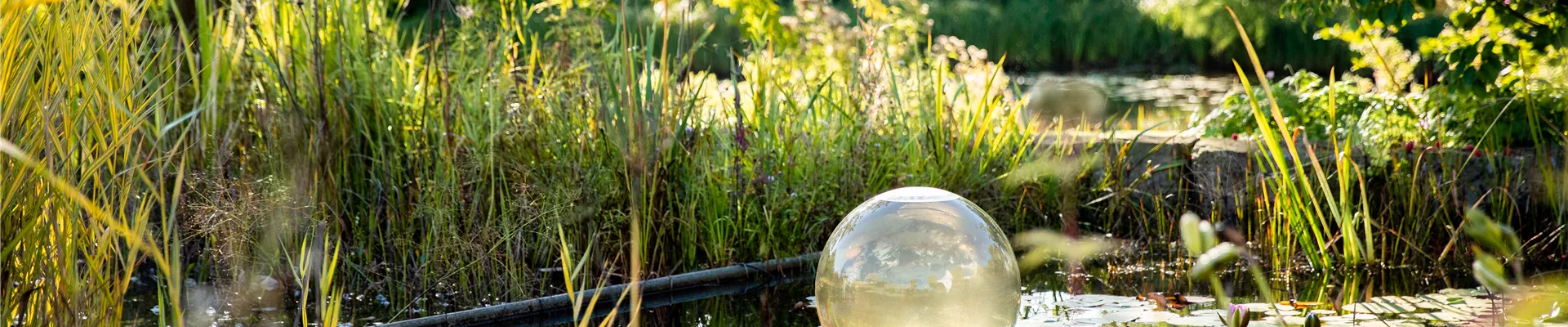 Gartenteich im Herbst