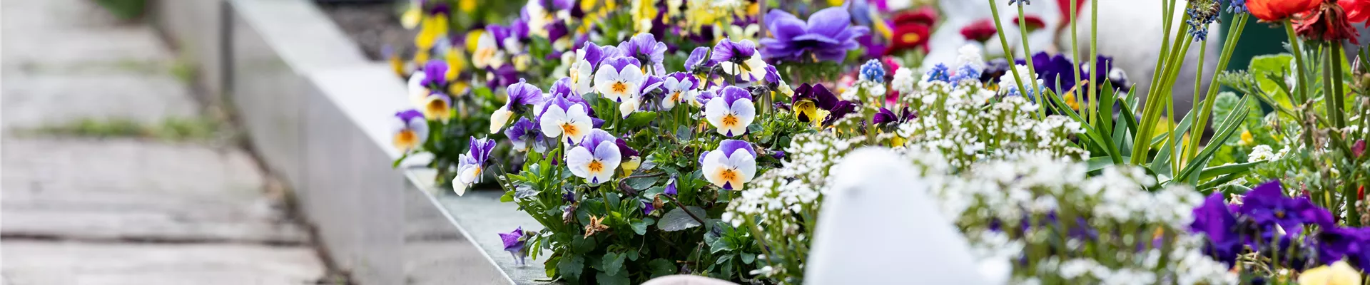 Grabgestaltung - Bepflanzung Grabgestaltung - Bepflanzung