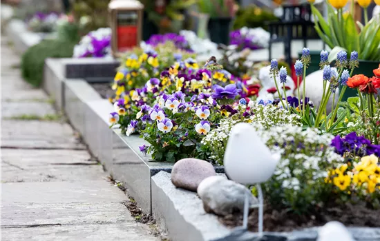 Eine ganzjährige Grabbepflanzung für ein stilvolles Andenken Eine ganzjährige Grabbepflanzung für ein stilvolles Andenken