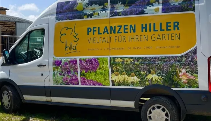 Pflanzen-Hiller_0017.jpg