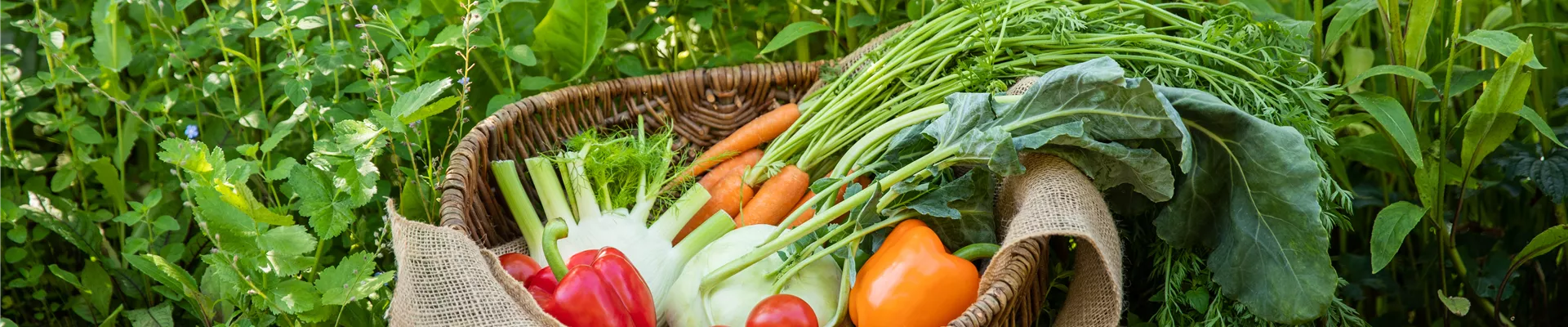 Gemüse im Korb Gemüse im Korb