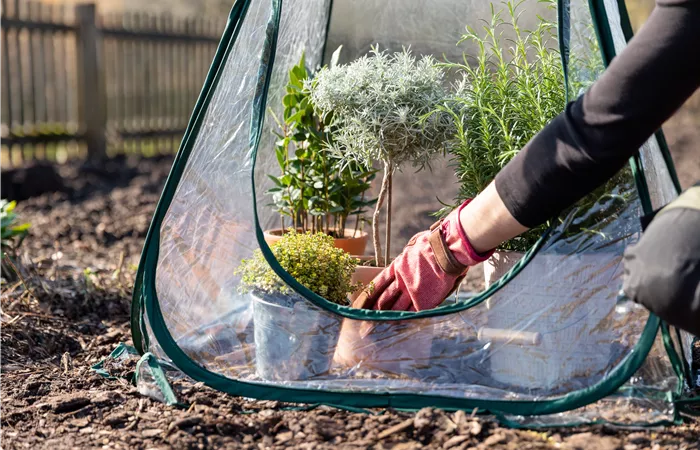 Gartenarbeit im November - Vorbereitung auf den Winter und das kommende Jahr