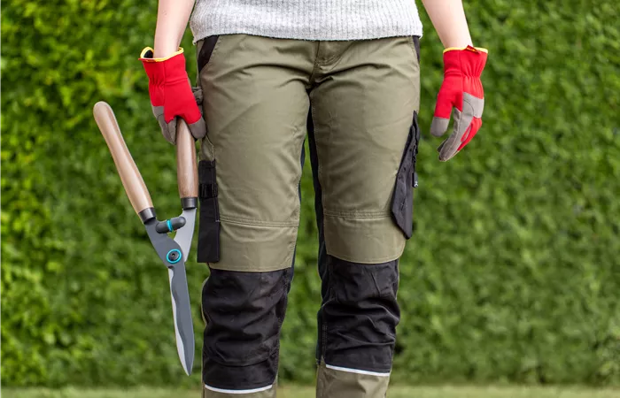 Schnittkurs Gartengehölze Schnittkurs Gartengehölze