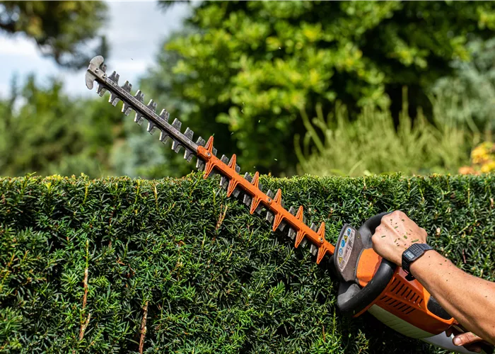 Gärtner / Facharbeiter Gärtner / Facharbeiter