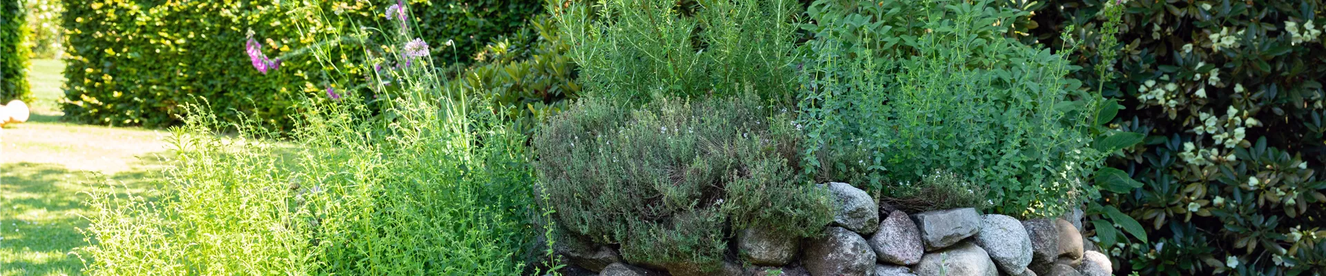 Kräuterspirale Kräuterspirale